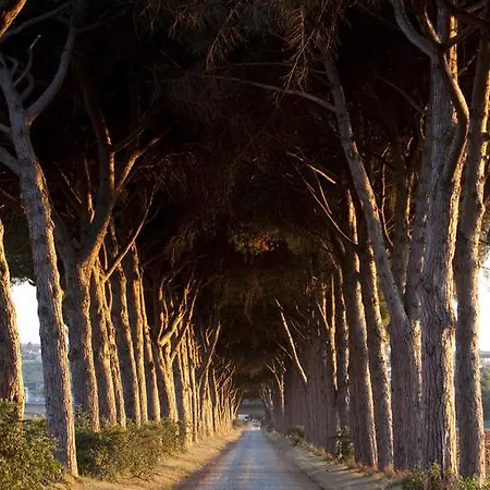 Alojamento de Turismo Rural Pantano Borghese *